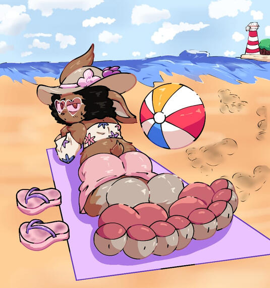 Coelho na praia